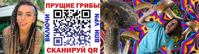 Галлюциногенные грибы Psilocybe  хочу наркоту  Яровое 